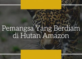 Pemangsa yang Berdiam di Hutan Amazon
