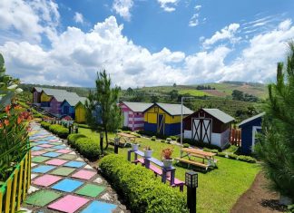 Hadir Tampil Memikat, Kebun Madu Efi Cocok Untuk Temani Momen Liburan Edukasi