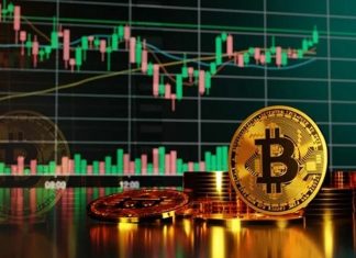 perbedaan-forex-dan-crypto