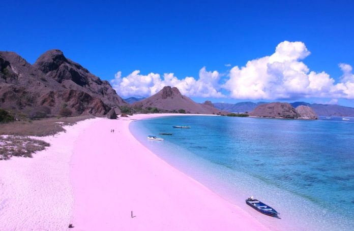 fakta Pantai Pasir Pink